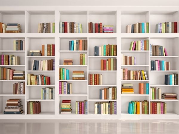 Bookshelf Assembly in Westminster